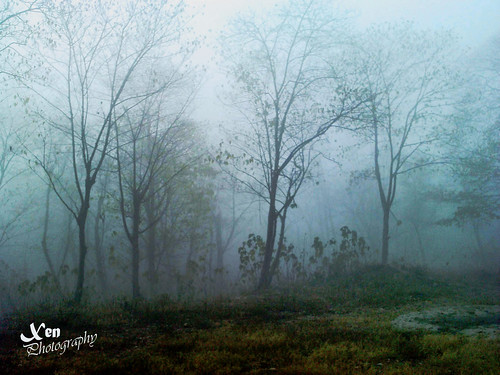 nature weather fog outside view scenes