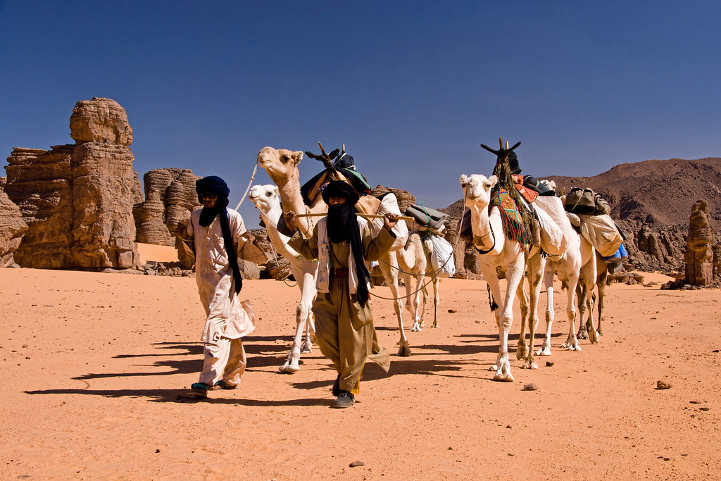 The caravan, lead by proud Tuareg, carries all our food and luggage