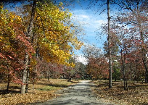 road autumn landscape fromthecar rosehill unioncountysc thebluealongthetopisfromourtintedwindsheld