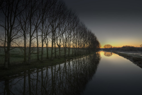 morning trees reflection water night sunrise reflections river dawn peace northamptonshire smooth relaxing peaceful calm clear predawn tranquil hdr nene ringstead hss photomatix