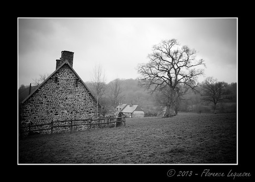 blackandwhite bw france landscape countryside noiretblanc 10 nb normandie campagne normandy manche 10faves labaleine