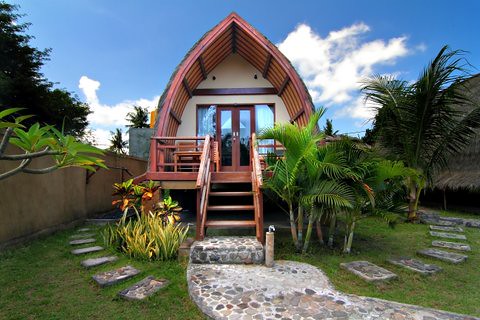 Coconut Dream