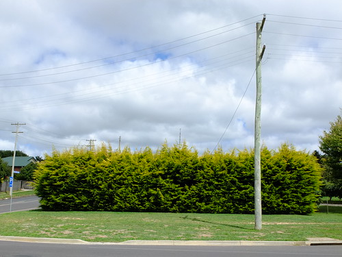 street australia wires hedge nsw poles oberon