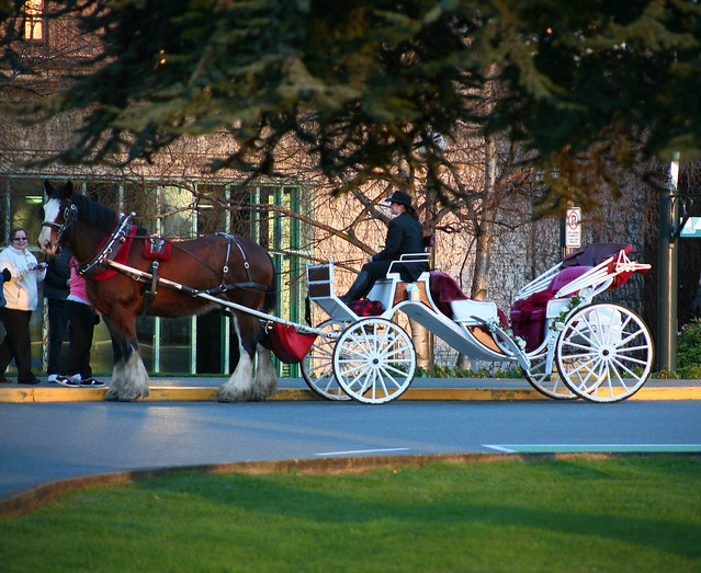 Horse Carriage in front of The Empress Hotel