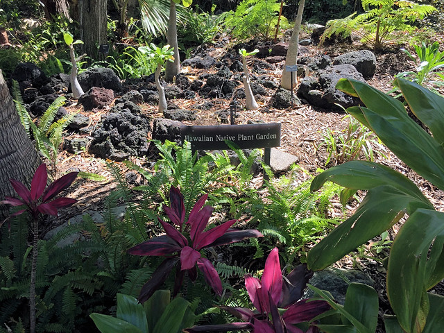 San Diego Zoo: Hawaiian Native Plant Garden