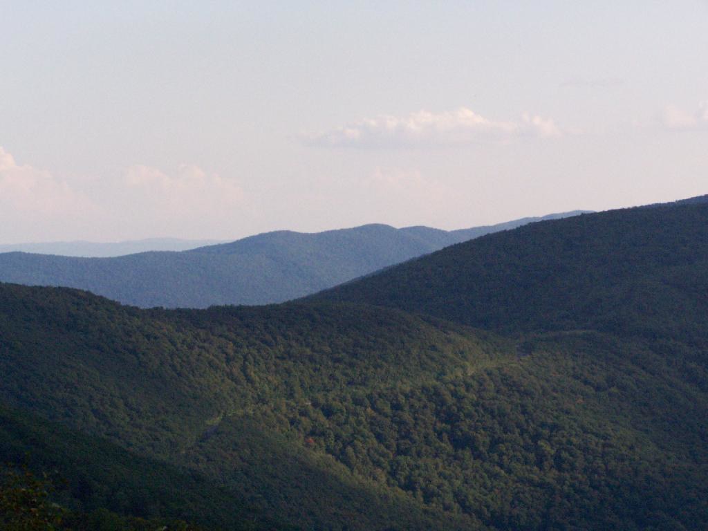 Birch Brook Trail