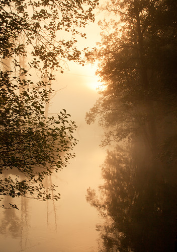 One Autumn Morning by Peddan Foto, © 2013 Peddan Photo 

Facebook : <a href="https://www.facebook.com/peddanfoto" rel="nofollow">Peddan