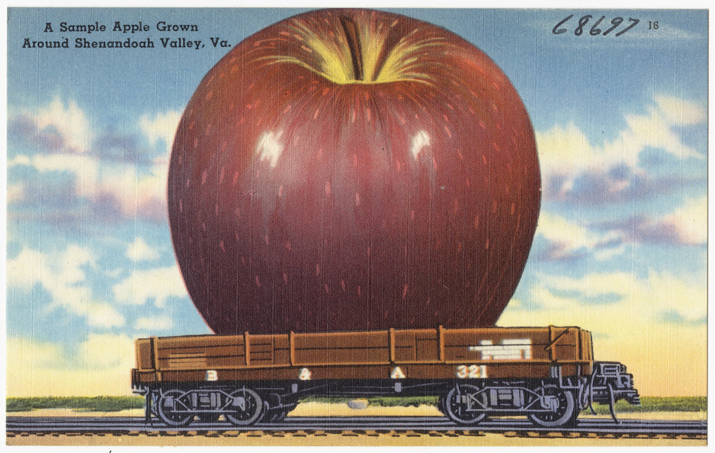 Growing around. Вирджиния Валли. Эппл-Валли. Сэмпл по яблоку. Apple Postcard.