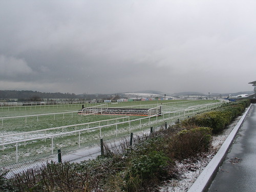Leopardstown Racecourse | by Pat Rooney Armstrong
