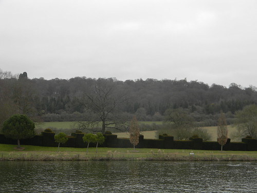 ornate hedge Henley to Marlow (from the wrong side of the river)