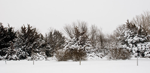 winter snow storm cold ice landscape countryside kansas lyons