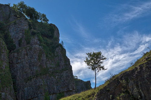 somerset landscape rocks cliff cheddargorge