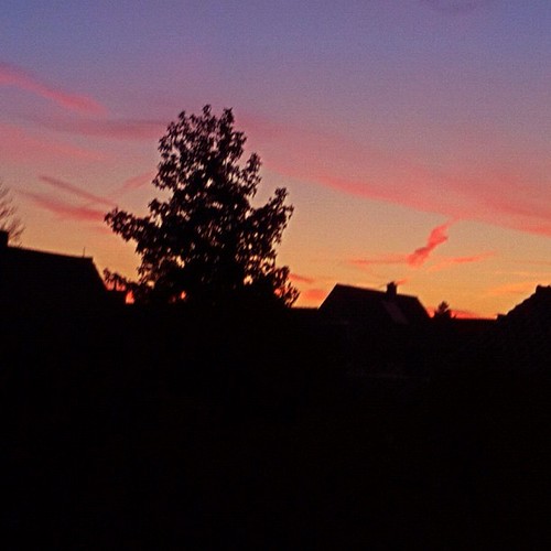 sun sunrise germany uploaded:by=flickstagram instagram:photo=2974095197931529554061479