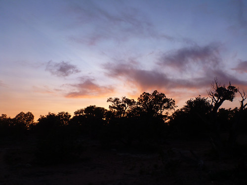 camping on the rim by rscottjones, cedarmesa grandgulch grandgulchprimitivearea backpacking bearsears bearsearsnationalmonument