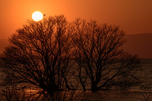 長浜市 滋賀県 japan lake 湖 琵琶湖 夕景 sunset