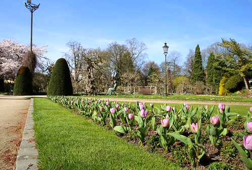Een mooie lentedag in de Leuvense Kruidtuin (07/04/2018)