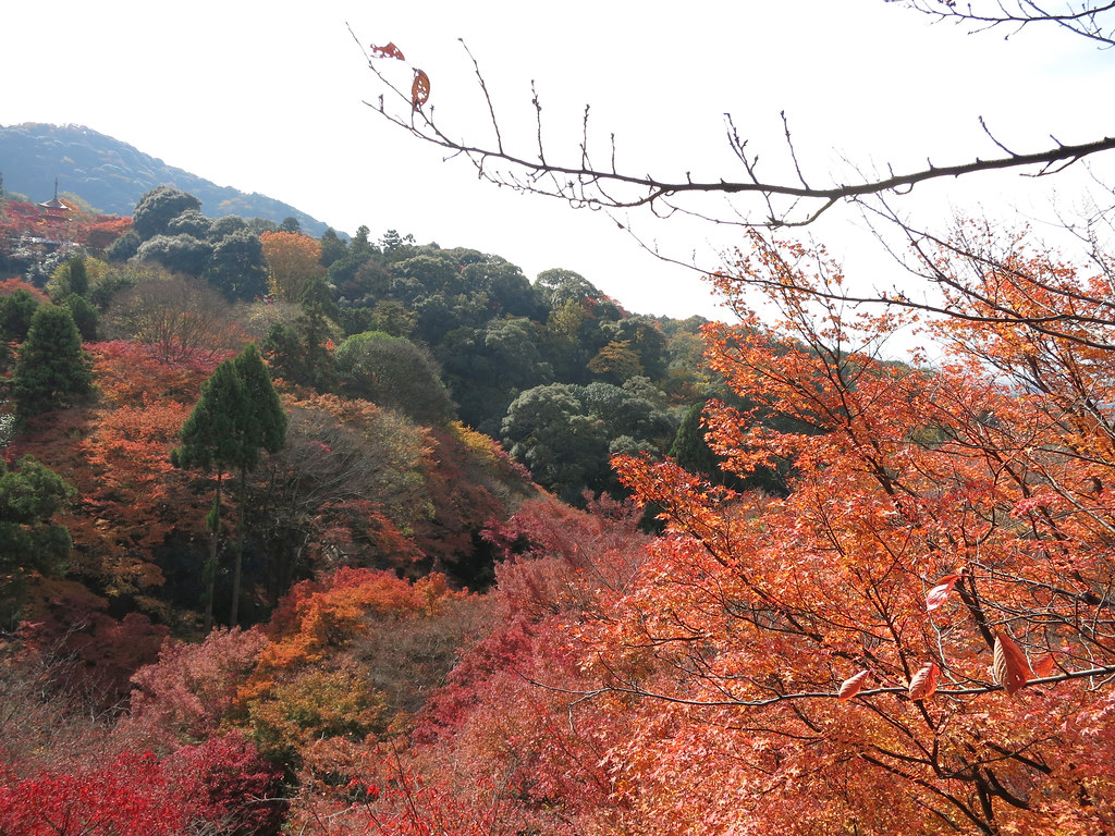 12年11月 京都 126 Wednesday November 28 12 清水寺では紅葉です Victor Lee Flickr