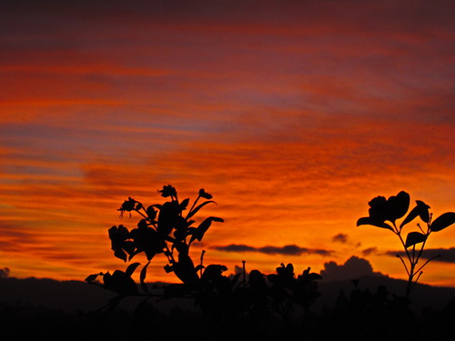 sunset clouds atardecer colombia nubes co ocaso antioquia sanvicenteferrer