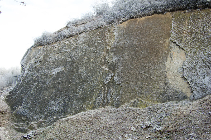 Ripple bed, with frost