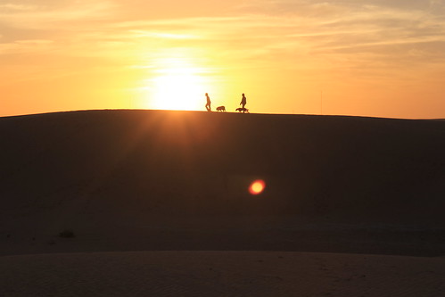africa sunset people dog dunes mauritania