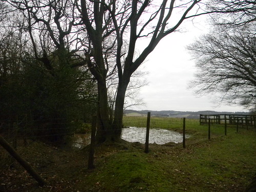 Pond and fence Chilham Circular