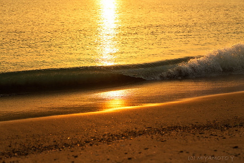 sea reflection japan sunrise spring wave seashore 2013 kochipref
