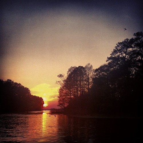 sunset sky sun lake bird film water river georgia square evening dusk gates documentary squareformat sutro win seminole iphoneography instagramapp uploaded:by=instagram whoownswater