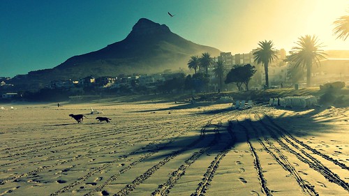 light mountain beach dogs nature sunshine sunrise landscape fun happy sunday capetown sliders hss
