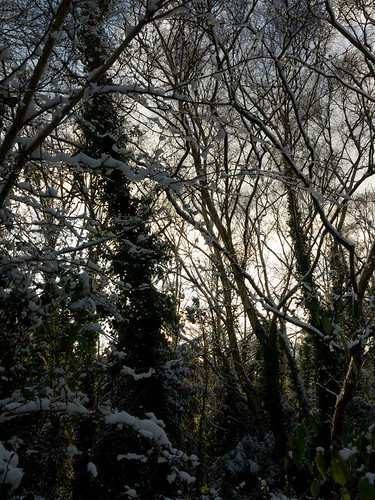 Snow in the Gunnersbury Triangle | by Wardandrew