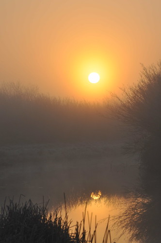 ireland sun nature water sunrise reflections canal colours royalcanal clonard comeath blackshade