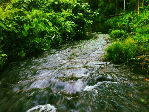 green water stream joy kerala chalakudy toucanfilter