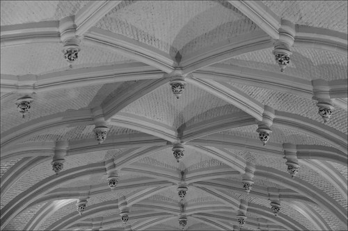 ceiling | by loop_oh