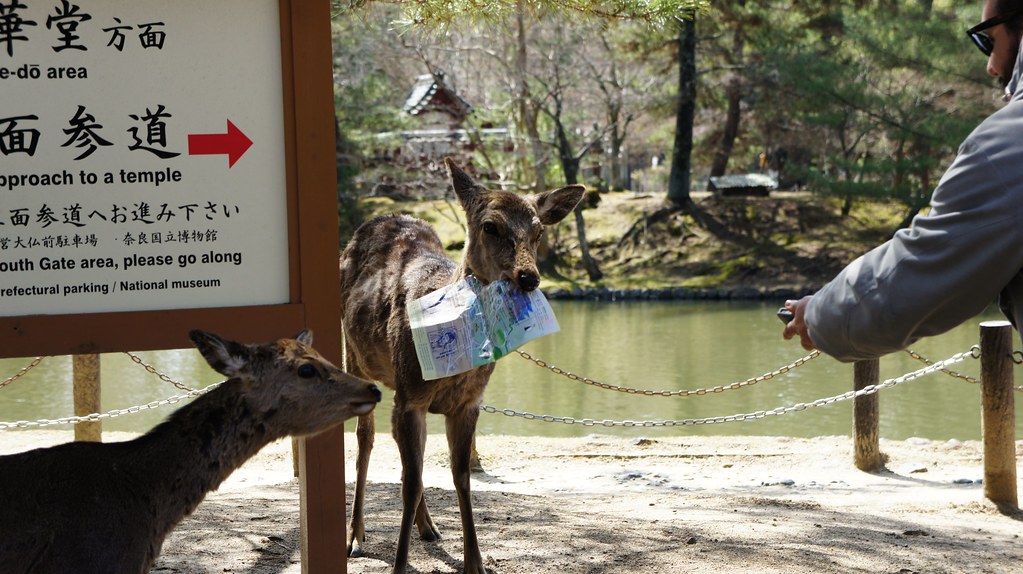 Parque de Nara