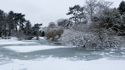 Snow and ice covered lake, West Park