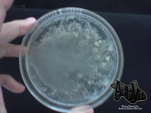 Micriobiology | by ZeChelsea