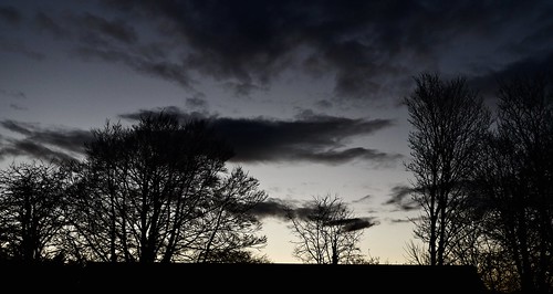 trees clouds skies silhouettes explore wallingtonsurrey