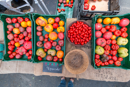 Tomatoes Everywhere [238/366] | by timsackton
