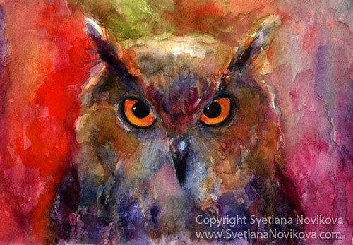 Colorful Owl watercolor painting by Svetlana Novikova