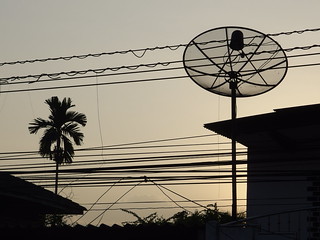 Squirrel Sunset Wiring Cables Power Line Nakhon Si Thammarat Thailand