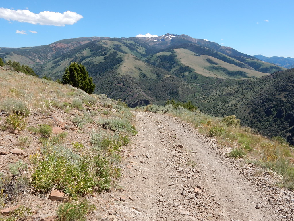 Clover Trail