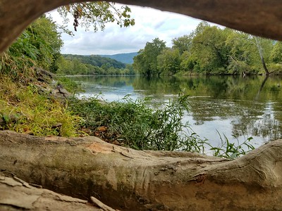 The Shenandoah River 