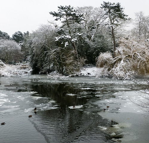 Wintry West Park lake and island
