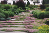 Natural Garden Pathway, Landscaping and Garden Design in Saddle River NJ 1