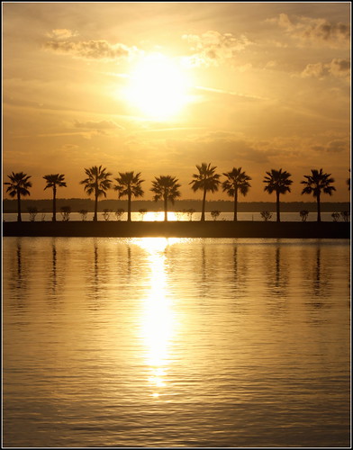 sunset lake canon gold texas houston allrightsreserved palmas katytexas oropuro tigerville eosrebelt3i flickrstruereflection1 alejandraesanz goldlakeatsunset