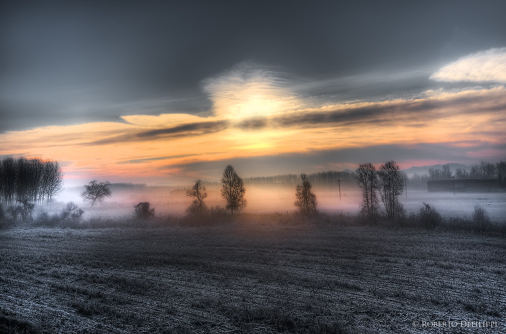 dawn frosty