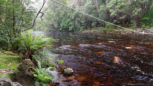 camp water trek river flow nationalpark crossing walk australia rope hike tasmania np bushwalk tramp wha southcoasttrack southwestnationalpark canonef24105mmf4lisusm worldheritagearea canon24105 louisariver canoneos6d