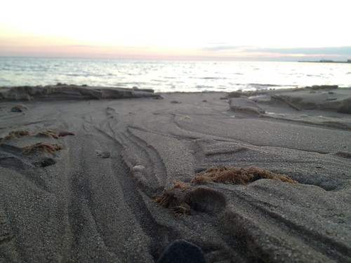 2/12/13 | by Michael Coan