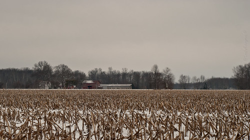 trees sky snow buildings landscape farm farming dreary agriculture cornstubble