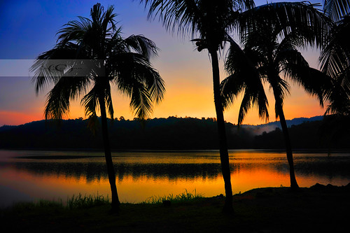 sunset lake tree colors silhouette reflections coconut palm malaysia 2470mmf28g