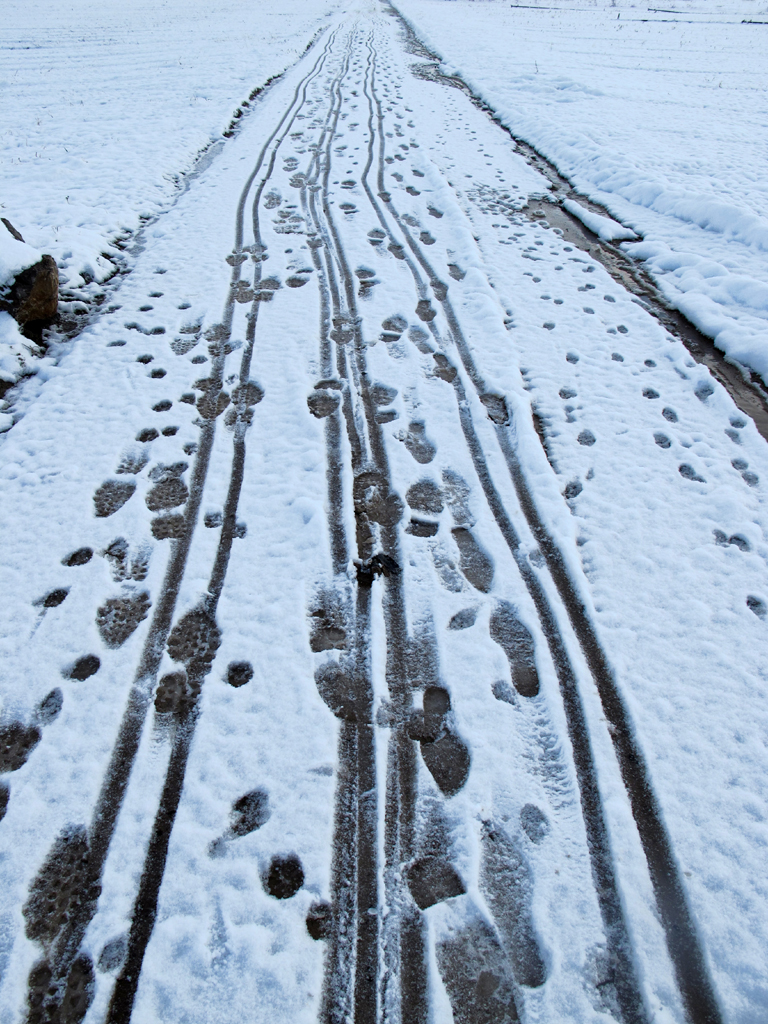 Recent  Traces in the Snow by Batikart
